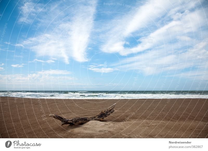 wood Harmonious Senses Calm Landscape Sand Water Sky Clouds Beautiful weather Waves Beach Ocean Wood Blue Brown Wanderlust Esthetic Loneliness Relaxation Colour