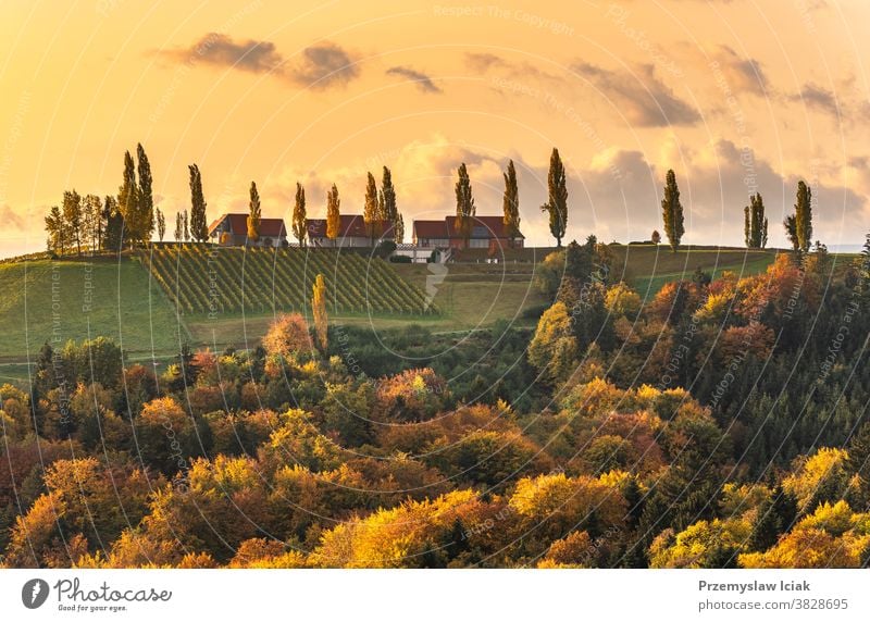 South styria vineyards landscape, Tuscany of Austria. Sunrise in autumn. background orange wine nature sun tuscany rebenland gamlitz wine street travel tourism