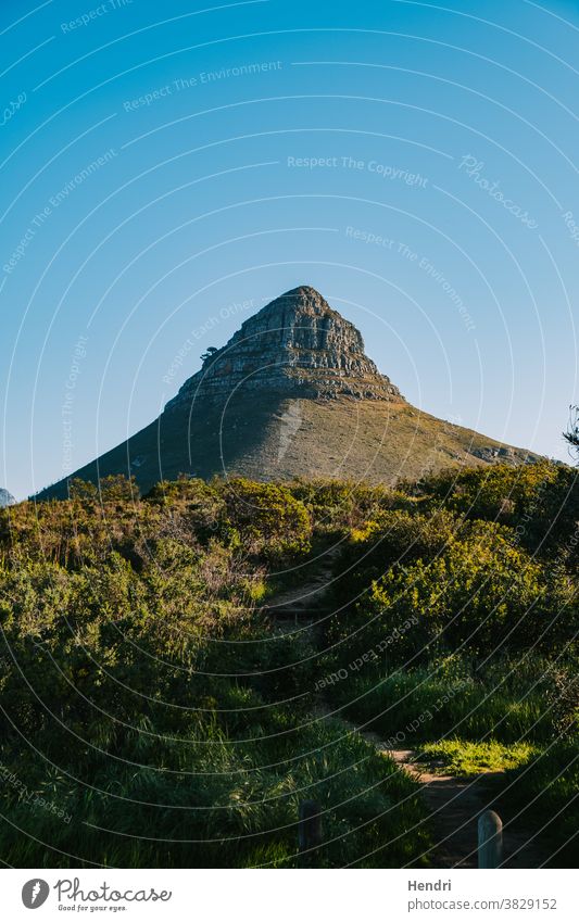 Mountain with beautiful blue sky and green grass - Lion's Head Cape Town South Africa trail leading up to mountain lions lion's head signal hill cape town south