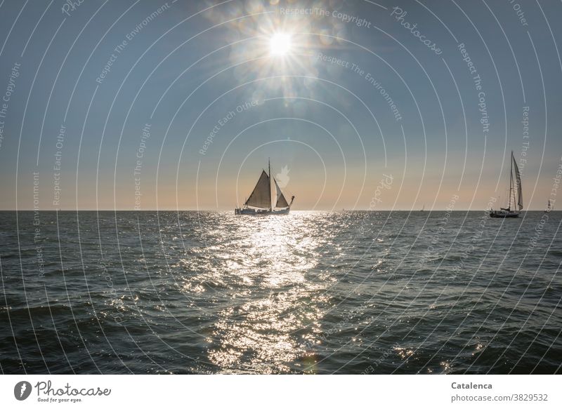 Flat-bottomed ship in sunlight Beautiful weather Sky Vacation & Travel Ocean Sail Horizon Wet Water Freedom Light Sun sailing yacht Waves Sunbeam Sailing Blue