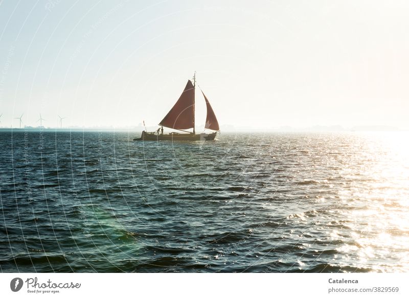 A flat bottom boat with red sails on the IJsselmeer Freedom Water Wet Horizon Sail Ocean Vacation & Travel Flat-bottomed ship windmills Sun Light Red Blue Sky