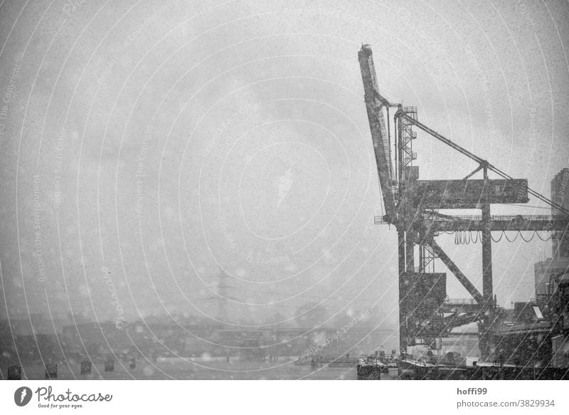 Snowdrift and fog in the harbour Dockside crane wharf Winter mood Snowflake Loading Misty atmosphere Shroud of fog pier loading crane Outrigger