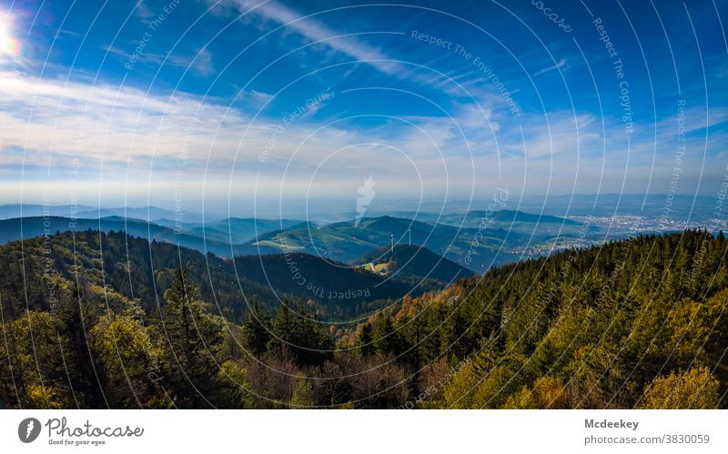 From Schauinsland to Freiburg Forest Landscape Black Forest Mountain Nature Exterior shot Deserted Sky Beautiful weather Clouds Sunlight Tree Autumn