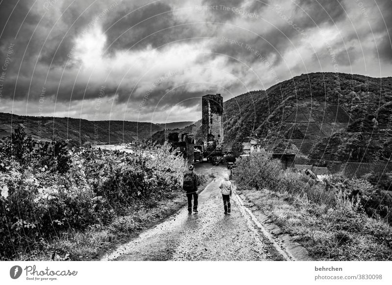 freshly laundered world Impressive outlook Vantage point Dark Dramatic Black & white photo Vacation & Travel Forest Hiking Nature Exterior shot Environment