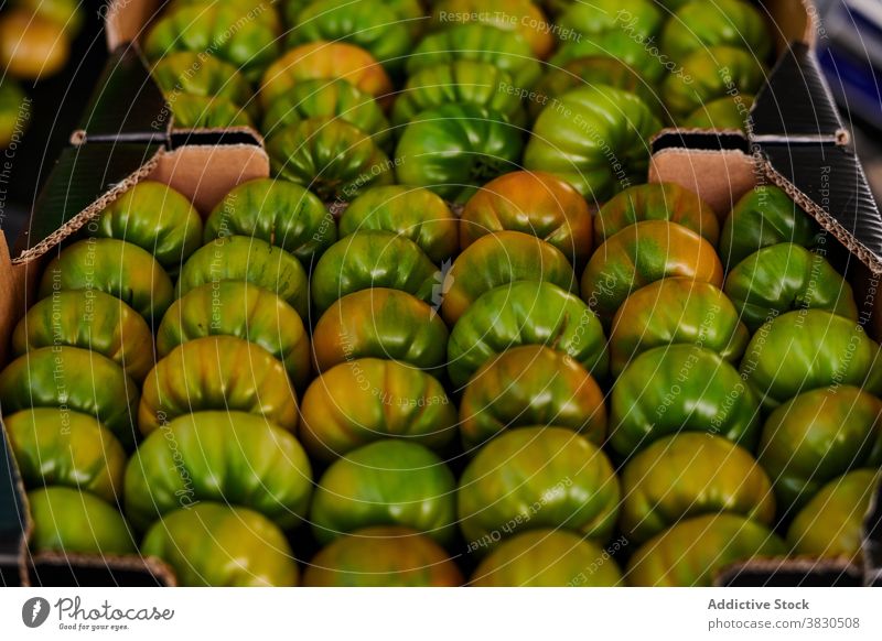 Fresh tomatoes in carton boxes in market green grocery unripe container cardboard fresh vegetable organic store retail local healthy tasty food sell meal sale