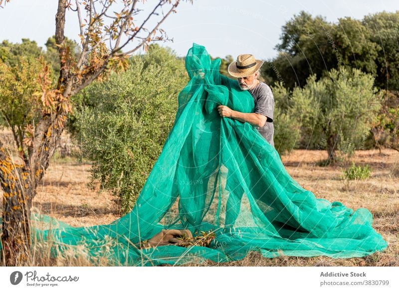 Senior man with net in garden farmer mesh work occupation countryside meshing male meshwork business job aged adult casual outfit lifestyle senior worker