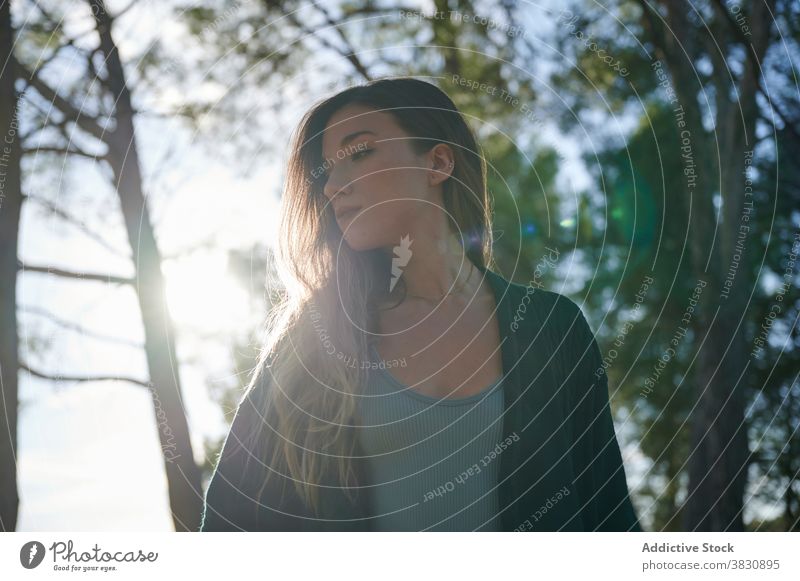 Young woman standing in autumn forest woods nature long hair sunlight season woodland cold female meadow snow sunny fall young environment travel hike adventure