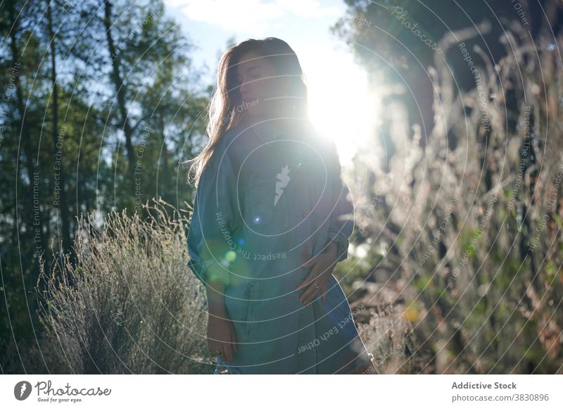 Young woman standing in autumn forest woods nature long hair sunlight season woodland cold female meadow snow sunny fall young environment travel hike adventure