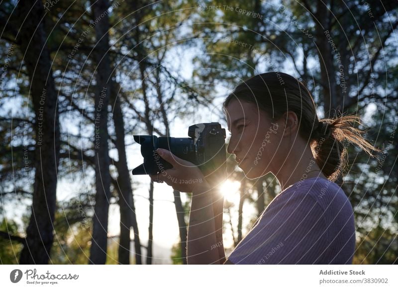 Young woman taking photos of nature in forest take photo photo camera photographer professional shoot capture hobby photography young female device equipment