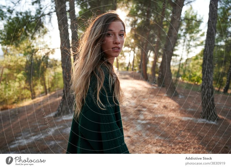 Young woman standing in autumn forest woods nature long hair sunlight season woodland cold female meadow snow sunny fall young environment travel hike adventure