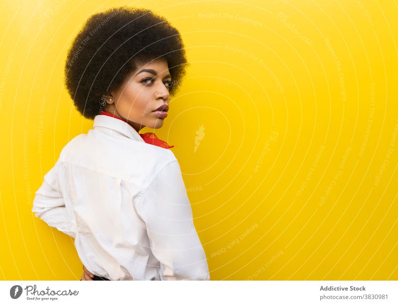 Stylish black woman in suit and blouse with briefcase style serious confident executive respectable classy well dressed formal female studio shot entrepreneur