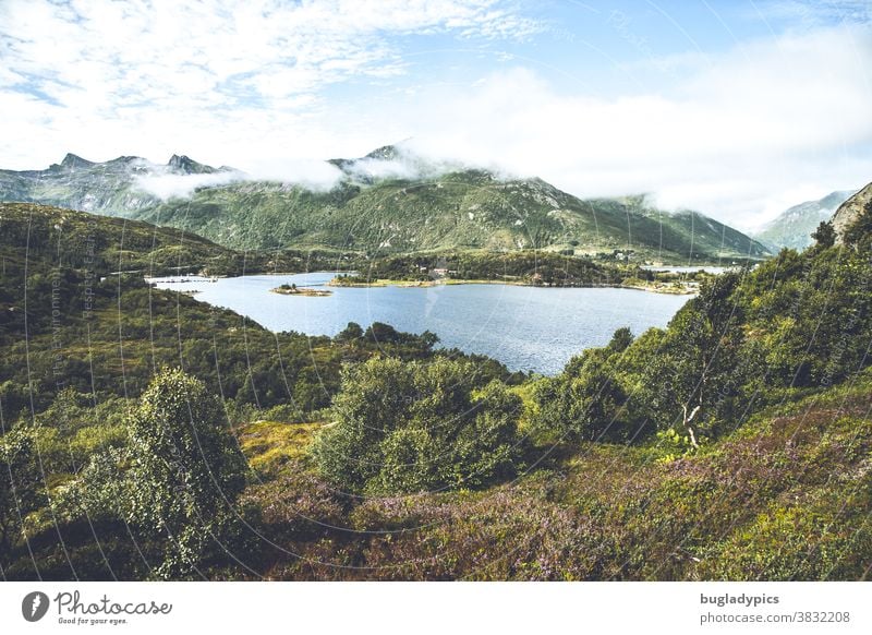 Beautiful wild landscape with heather, a lake and in the background some mountains in Norway on the Vesteralen Lake Mountain Heathland Wilderness Body of water