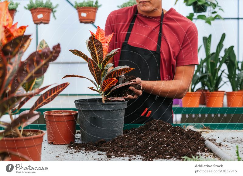 Serious pensive man watering green plant take care potted flower glasshouse pour male spacious greenhouse work job occupation agriculture botany garden