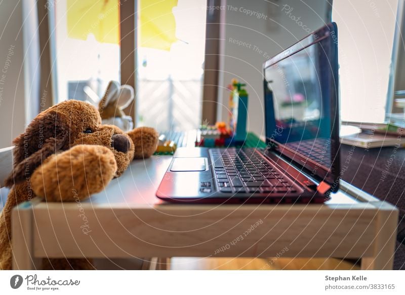 Funny homeoffice scenery with a stuffed teddy and his friend a rabbit working at a laptop. cute teach show living room background business computer house