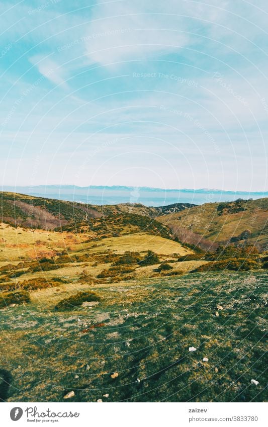 View of a landscape with some yellowish hills mountains wild environment nature vegetation shrubs bushes green brown sky ground background trees bare trees