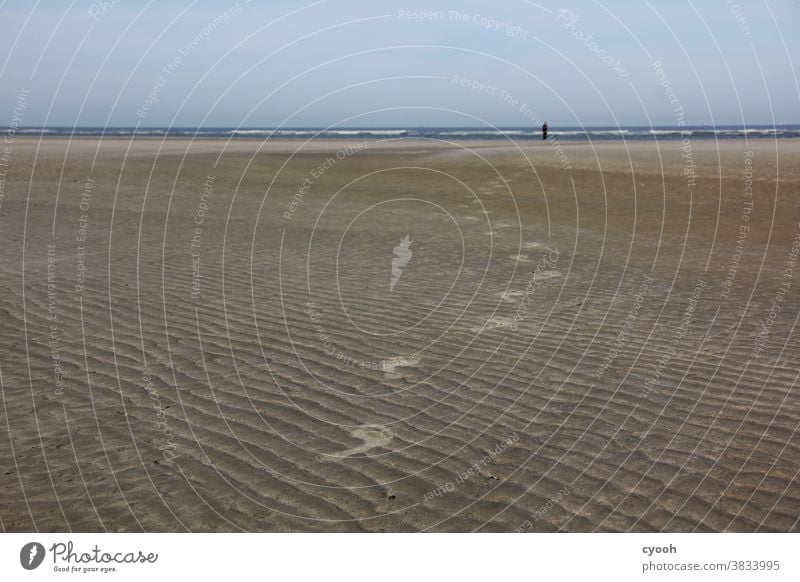 I'll follow you... Tracks Sand Beach Langeoog North Sea East frisian island East Frisland Sandy beach Feet Footprint Transience ensue High tide Low tide