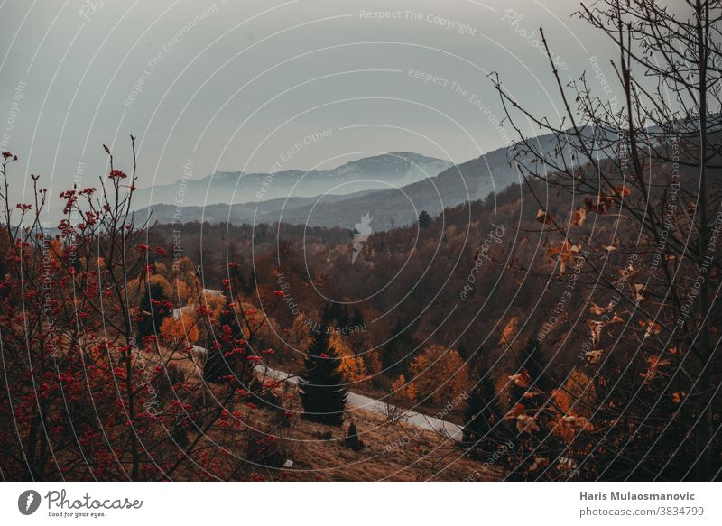 Autumn mountains range in mist Landscape Autumn leaves Autumnal colours Autumnal weather autumn mist fog beauty nature road distance view