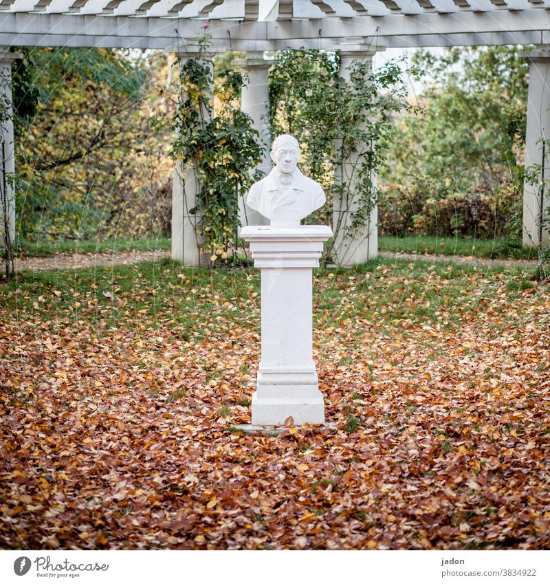 a man in autumn. Sculpture Bust Wredow Statue Monument Landmark Historic Tourism Art Cordon Corridor foliage Lawn leaves Autumn Architecture columns portico