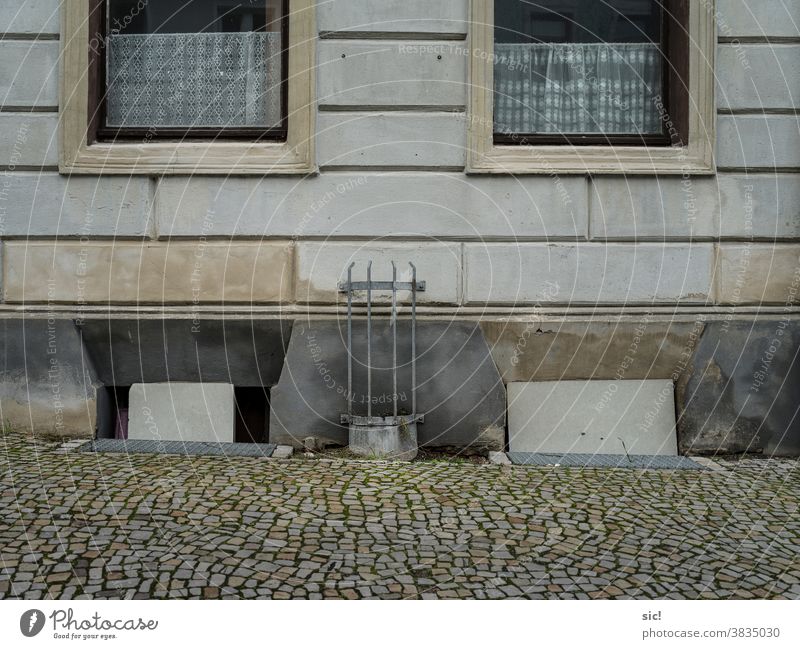 Pflanzhilfe an Hauswand Blumen Fenster piefig Fassade Menschenleer Wand Gebäude Außenaufnahme Mauer Farbfoto Architektur trist Gedeckte Farben Kellerfenster