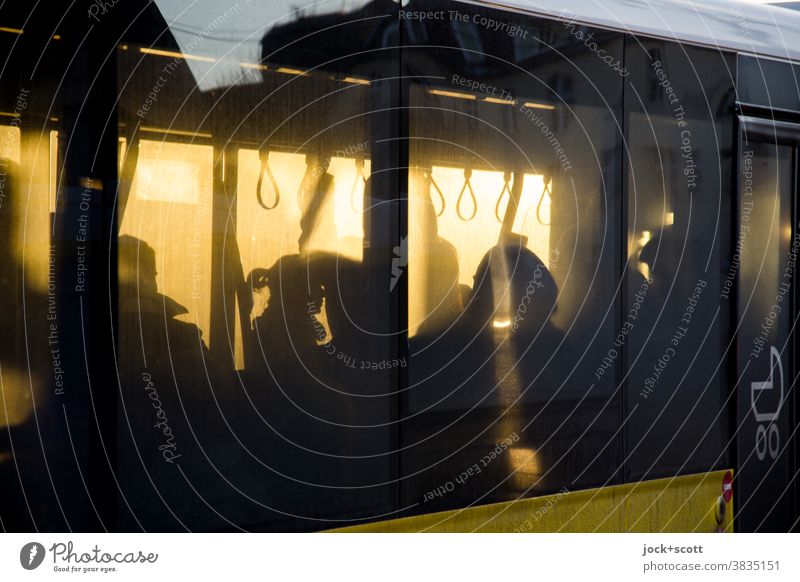 take the bus to the golden hour Bus Bus travel pass Means of transport Public transit evening light Silhouette Reflection passengers Light (Natural Phenomenon)