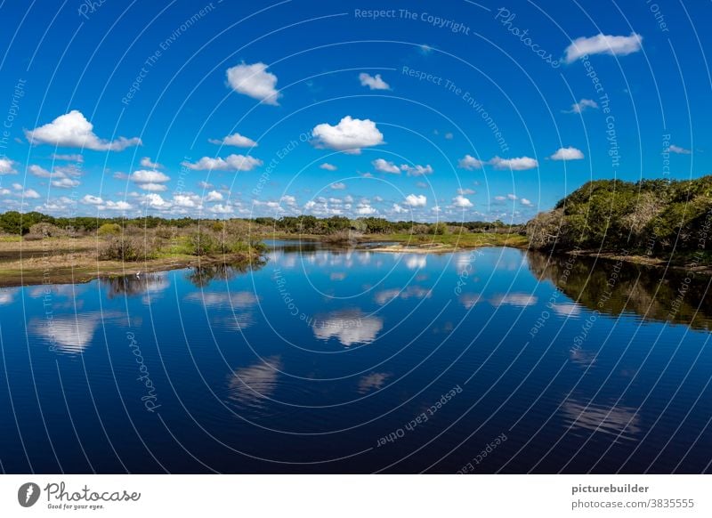 Landscape with blue sky and beautiful clouds Water Clouds Sky reflection Forest bank Blue White Reflection Lake Nature Calm Exterior shot Green Deserted