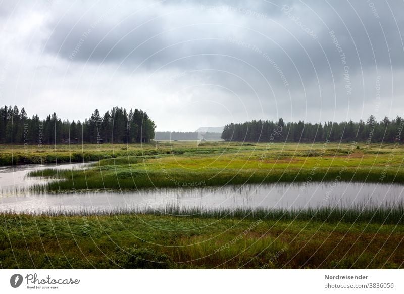 Moorland in the north of Sweden Wide angle Evening Copy Space top Deserted Exterior shot Sadness Colour photo Apocalyptic sentiment Bizarre Loneliness Wet