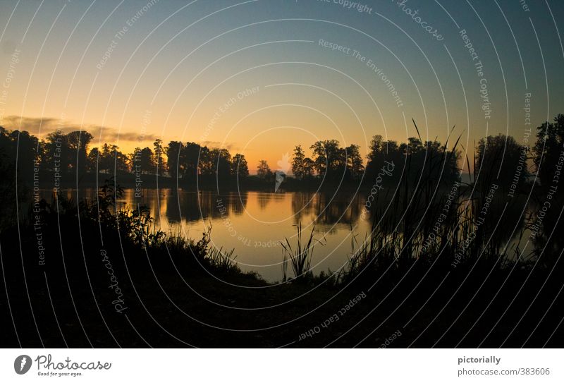 A morning in the park Environment Nature Landscape Earth Water Sky Clouds Sunrise Sunset Tree Grass Bushes Wild plant Garden Park Lakeside Natural Moody Happy