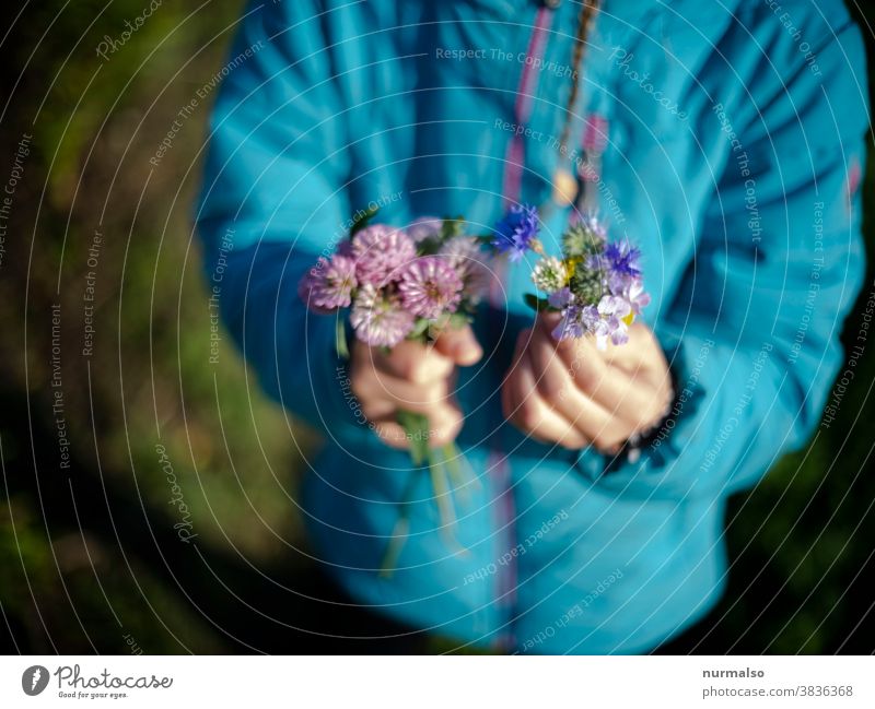 autumn bouquet Field field flower Nature amass Child children's hands naturally Simple Indicate pleased Joy Freedom Infancy Trip Gift purple Blue White