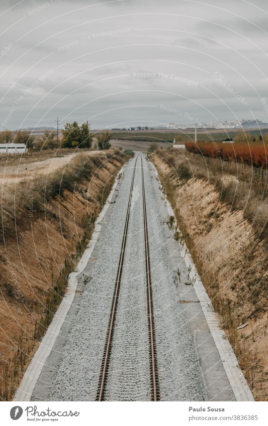 Rairoad line Train Train travel Transport Train station Railroad Portugal Means of transport Colour photo Speed Railroad system Rail transport Exterior shot