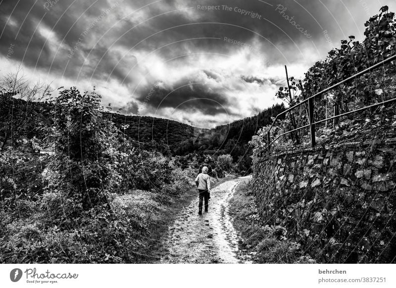 a day in black and white Nature Hiking Black & white photo Dark melancholy melancholically Clouds Sky Trip Tourism Mountain Landscape Adventure Moselle Idyll