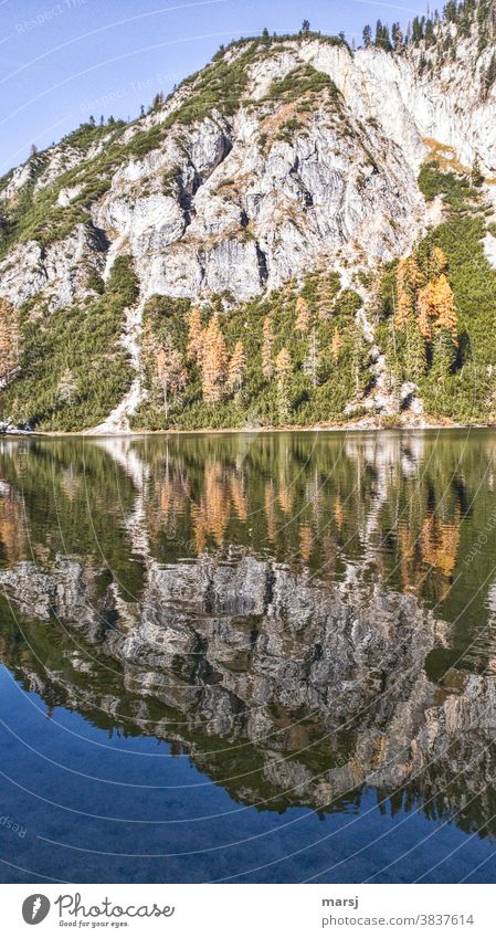 Autumnal reflection in the Ahornsee Water Freedom autumn gold Alps Elements Autumnal colours Shadow Contrast Wide angle Deep depth of field Reflection