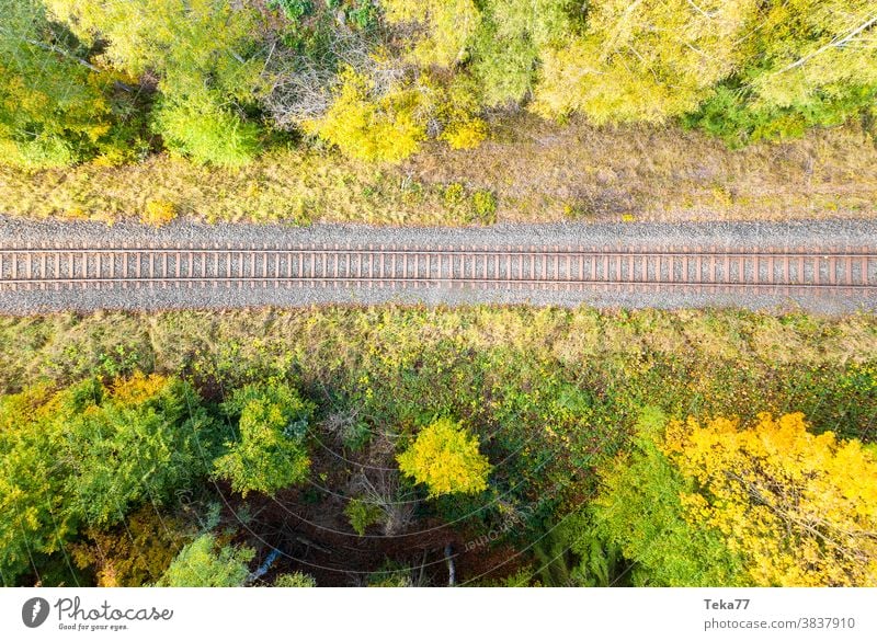 train Tracks in the forest top down from above train tacks tracks track from above train track from above forst autumn forest fall forest traffic lone alone