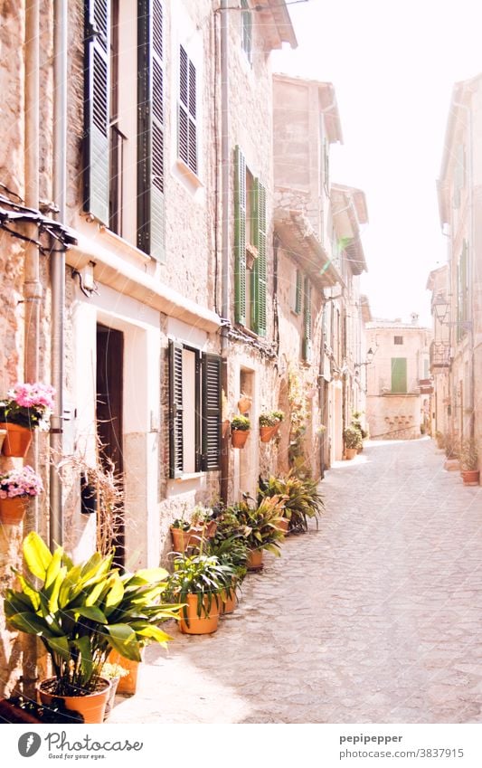 Mallorca Majorca Alley Street Spain Exterior shot Deserted Old town Vacation & Travel Town Facade Mediterranean Palma de Majorca Architecture Window City trip