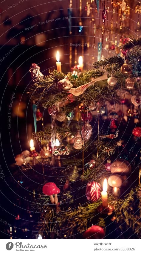 A detail of a classic German Christmas tree with real candles and lots of tinsel. Illuminated by candlelight, there are many different Christmas tree decorations to discover.