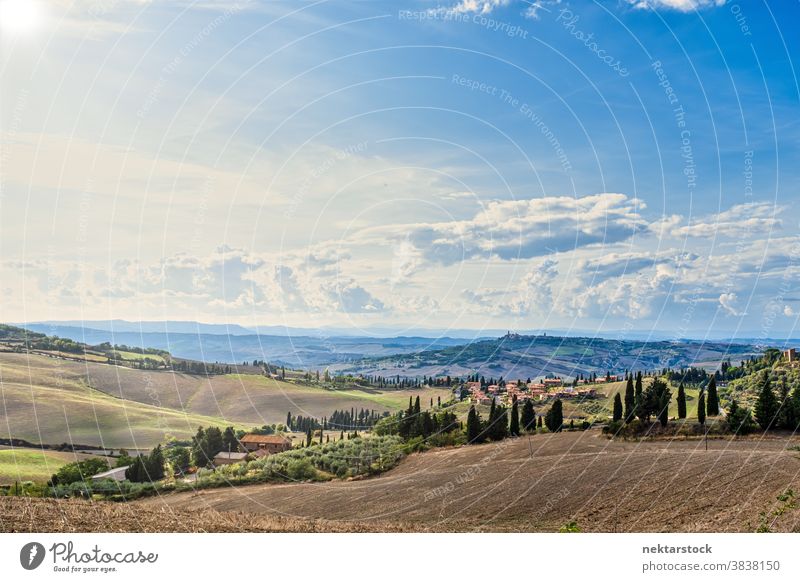 Idyllic Rural Tuscany Summer Landscape field sky landscape cloudscape Italy crop rural Europe day natural lighting farmland sunny summer crops cropland