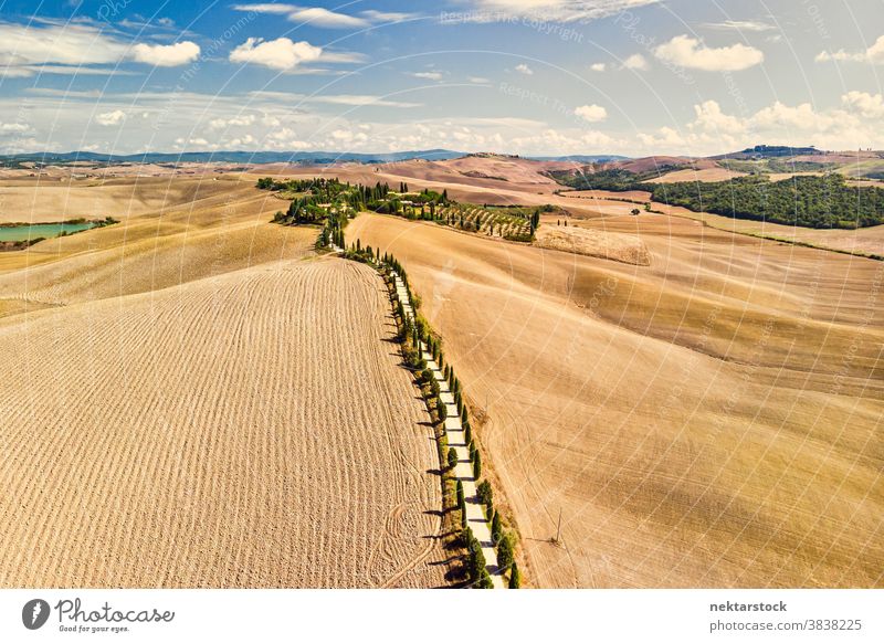 Golden Fields of Tuscany and Road Lined with Tuscan Cypress road Italy agriculture field landscape rural farmland countryside road less travelled sunny summer