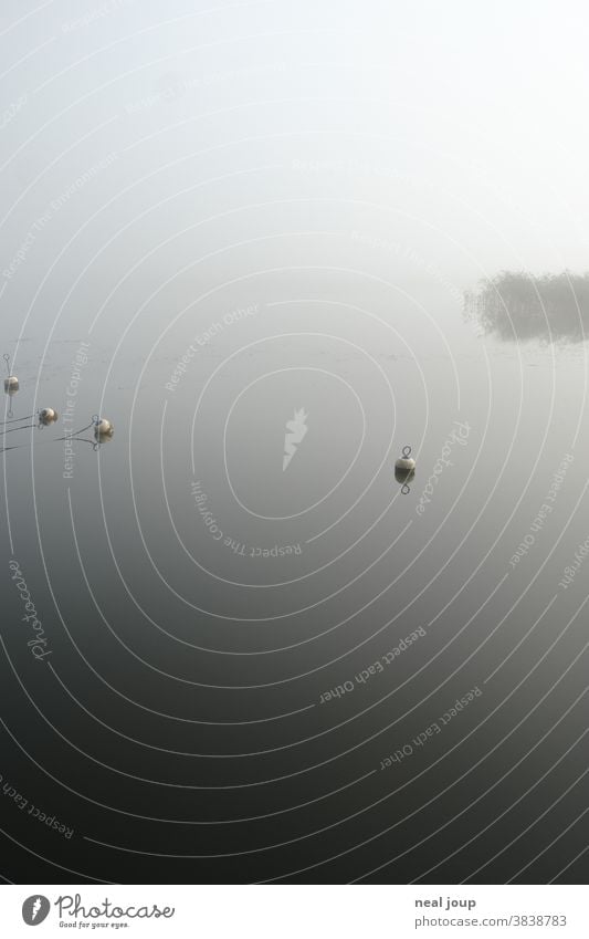 Lake in the fog Landscape Water Nature tranquillity Moody in the morning Fog Mysterious Mystic Loneliness Deserted Calm silent Dream Poetic Idyll