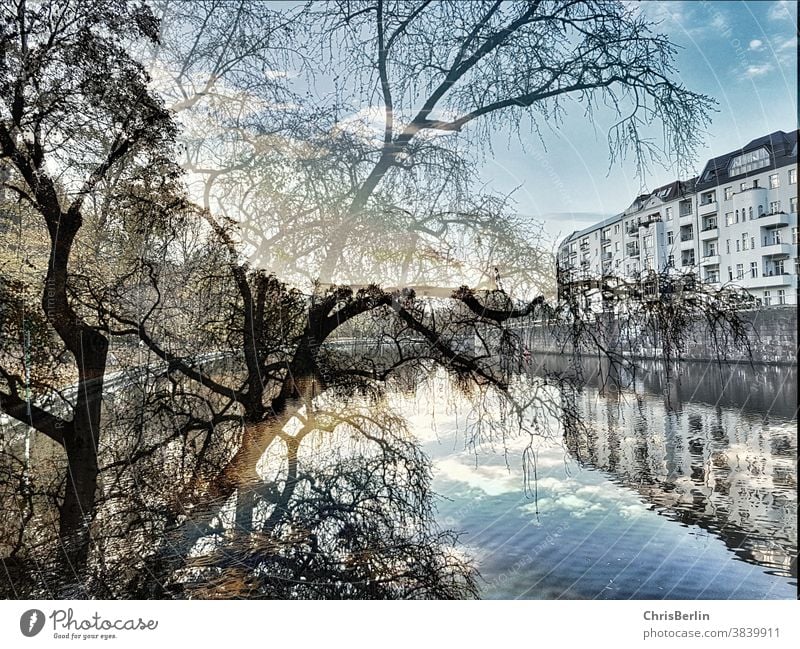 Reflection of houses in water with trees, double exposure reflection River Double exposure Water Nature bank Reflection in the water Calm Sky