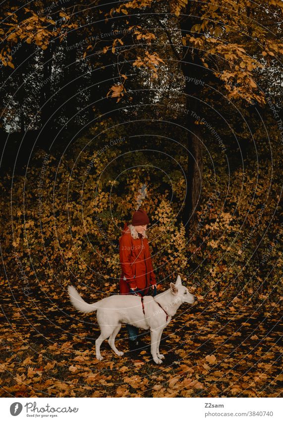 Young woman walking a white shepherd dog Walk the dog Dog Shepherd dog stroll White Affection upbringing Red Cap Autumn Field Nature Rural Sit leash