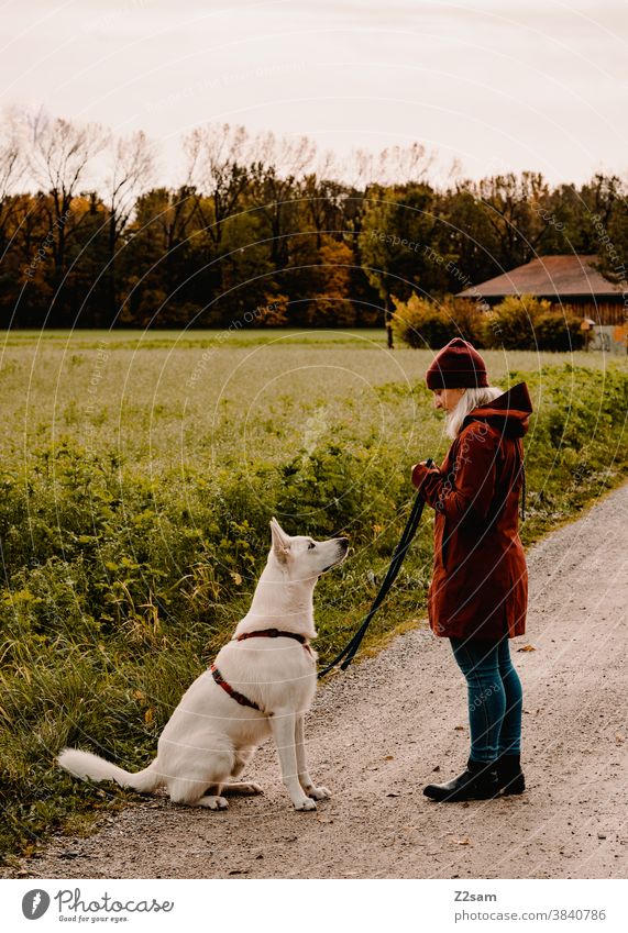 Young woman walking a white shepherd dog Walk the dog Dog Shepherd dog stroll White Affection upbringing Red Cap Autumn Field Nature Rural Sit dog school leash