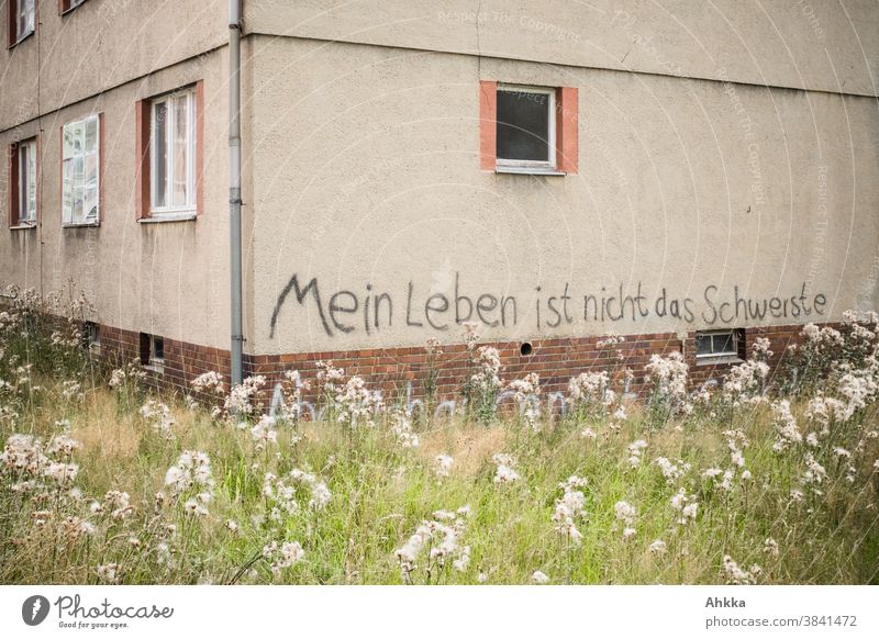 Graffiti life wisdom on old house facade, My life is not the hardest thing Old Building Window History of the Exterior shot Town Heavy tagged Social embassy