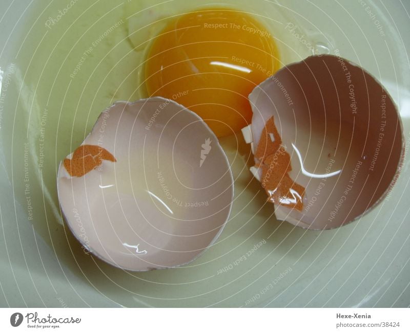 Egg Nutrition Adversity Yolk Ingredients Colour photo Interior shot Close-up Detail Morning Day Motion blur Scrambled eggs Broken Fragile Eggshell Plate White