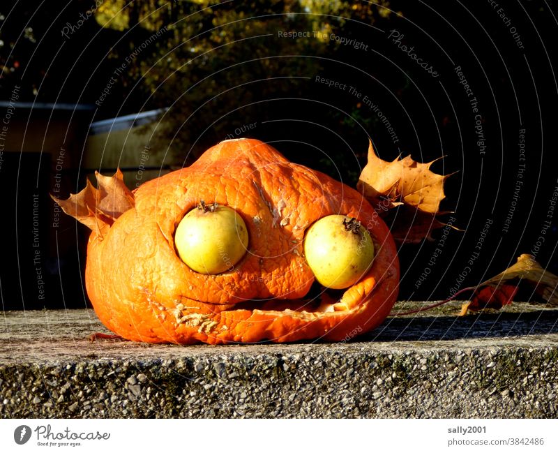 Beginning of autumn... Pumpkin Hallowe'en Thanksgiving Autumn Start of autumn Vegetable Decoration Harvest Leaf Face Art Eyes fruit Fruit fruits seasonal Orange