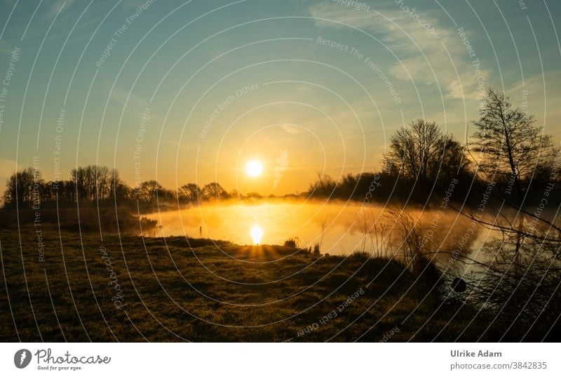 Mystical sunrise in the Teufelsmoor near Bremen devil's mire Worpswede Dawn Sunset Sunrise Tree Winter Landscape Bog Fog Nature Morning foggy hazy reflection