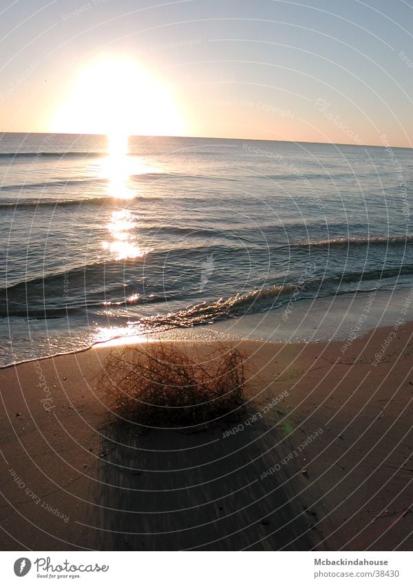 sun shadow Sunrise Ocean Beach Bushes Loneliness Vacation & Travel Calm Light Waves Shadow Empty Peace Blue