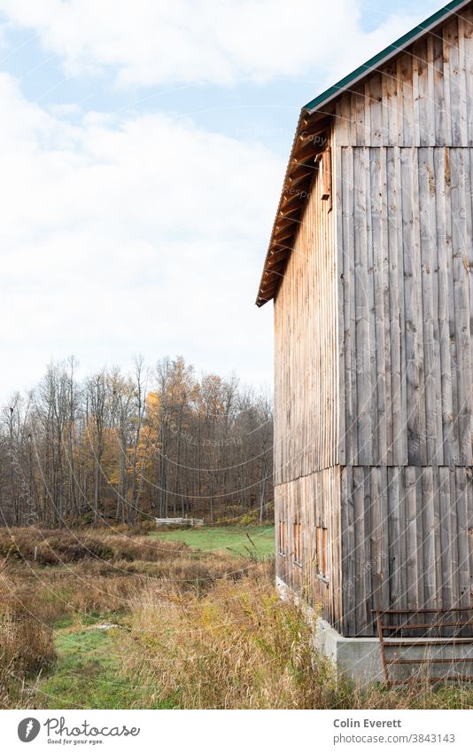 Barn in the woods during the fall barn autumn relaxing minimal Autumn background nature season white seasonal Nature lifestyle Minimal still life october