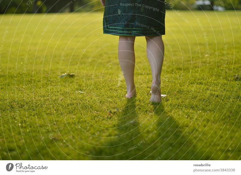 Legs of a woman walking barefoot across a soft lawn with back light Woman Barefoot Going Lawn Green surface open space Places stroll Hiking confident