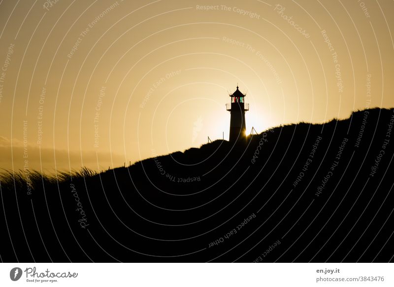 Lighthouse in the back light of the rising sun Sylt Sun Sunrise Back-light Sunlight silhouette Vacation & Travel Sunset Sky Deserted Contrast Shadow Evening