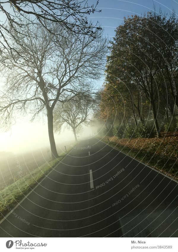 on the road Street Transport Speed Driving Road traffic Traffic infrastructure Country road Asphalt Nature Landscape Tree Field Fog Lanes & trails Environment