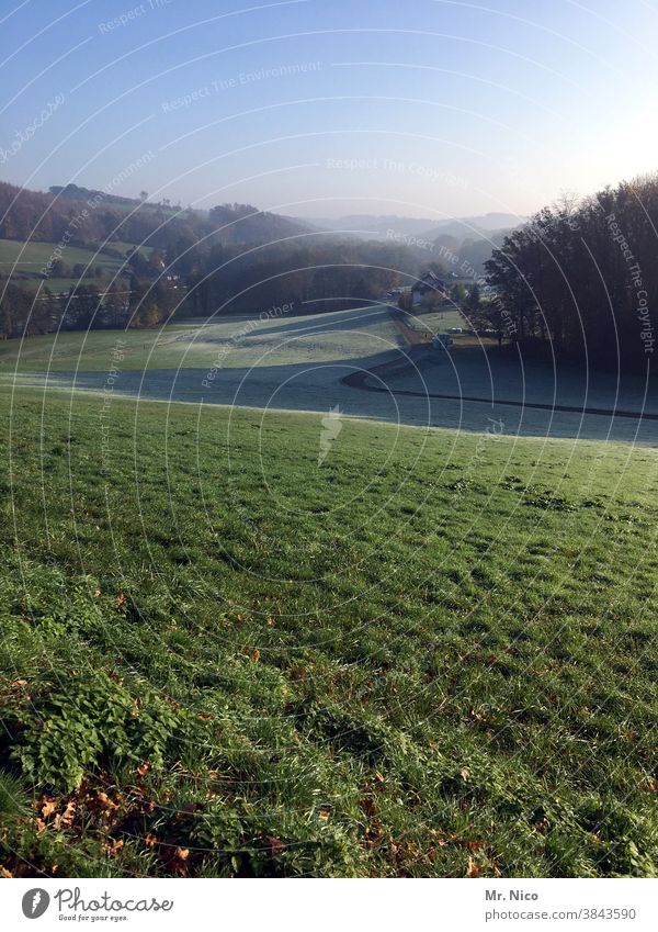 The day begins Landscape Nature Meadow Willow tree Mountainous area Environment Grass Rural country naturally Shroud of fog early morning mist Forest Blue sky